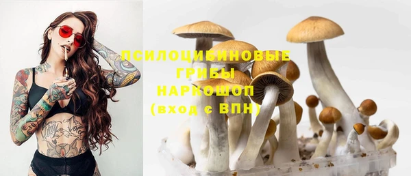 твердый Бронницы