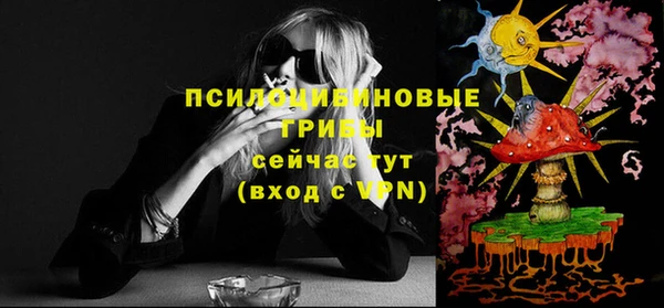 твердый Бронницы